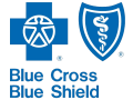 small blue cross blue shield logo
